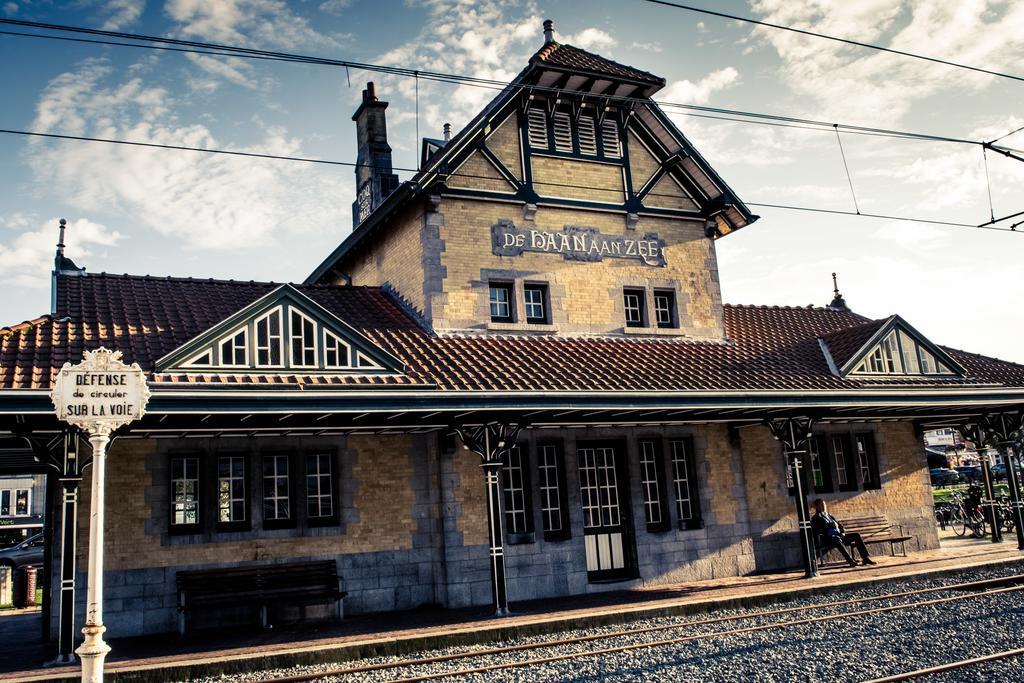 Villa Les Hirondelles De Haan Kültér fotó